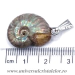 Pandantiv amonit cleoniceras