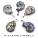 Pandantiv amonit cleoniceras