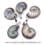 Pandantiv amonit cleoniceras