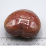 Inima lemn pietrificat