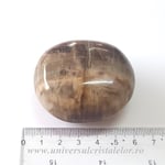 Lemn pietrificat polisat