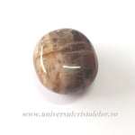 Lemn pietrificat polisat