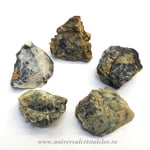 Agat dendritic ( Merlinit )