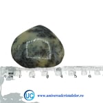 Inima agat dendritic