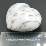 Inima agat dendritic