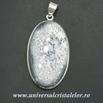 Pandantiv agat dendritic