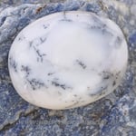 Agat dendritic polisat