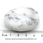 Agat dendritic polisat