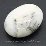 Agat dendritic polisat