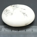 Agat dendritic polisat