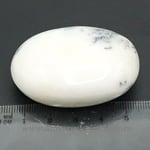 Agat dendritic polisat