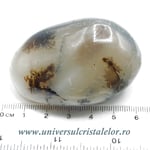 Agat dendritic polisat