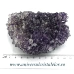 Ametist floare