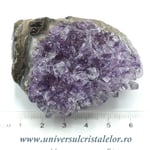 Ametist floare