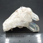 Angel aura cluster