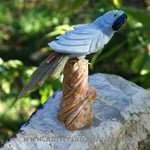 Figurina angelit papagal m1