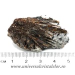 Astrofilit mineral unicat m12