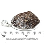 Pandantiv astrofilit