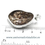 Pandantiv astrofilit