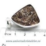 Pandantiv astrofilit