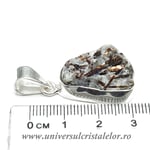 Pandantiv astrofilit