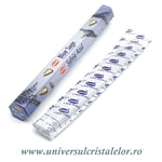 Betisoare parfumate salvie albastra