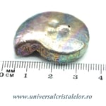 Figurina bismut amonit