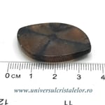 Cabochon chiastolit