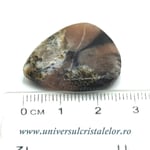 Cabochon chiastolit