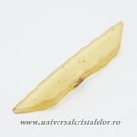 Copal (Chihlimbar tanar)