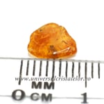 Chihlimbar cu insecte