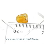 Chihlimbar cu insecte