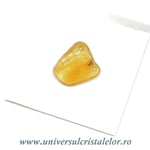 Chihlimbar cu insecte