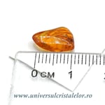 Chihlimbar cu insecte