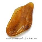 Copal (Chihlimbar tanar)