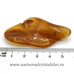 Copal (Chihlimbar tanar)