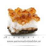 Citrin cluster unicat m25