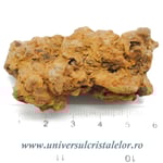 Coprolit broasca testoasa preistorica