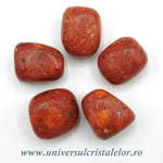 Coral rosu ( spongios )rulat