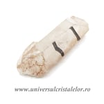 Cuart cu apa unicat m3 ( Enhydro Quartz )