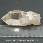 Cuart lemurian