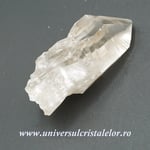 Cuart lemurian