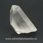 Cuart lemurian
