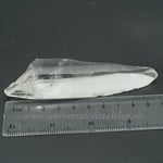 Cuart lemurian