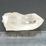 Cuart lemurian