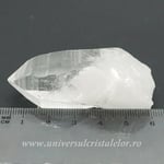 Cuart lemurian