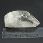 Cuart lemurian