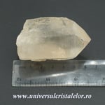 Cuart lemurian
