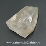 Cuart lemurian