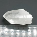 Cuart lemurian